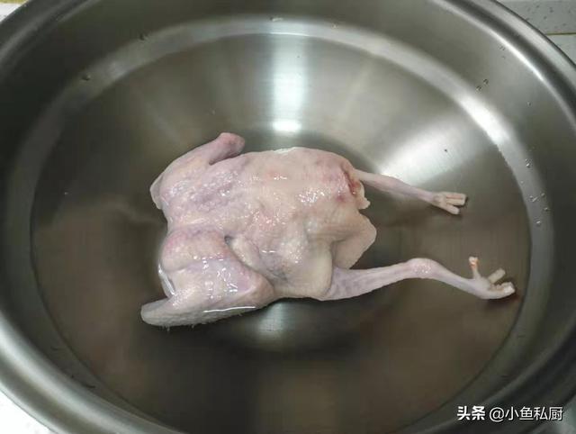 枸杞鸽子汤的功效，枸杞炖鸽子汤的功效（气血双补皮肤水嫩嫩）