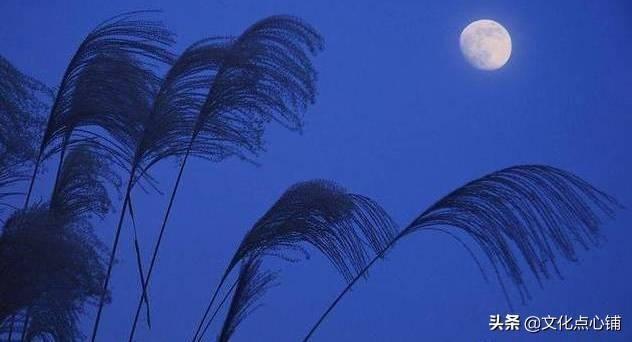 寒日孤独的诗句，《全唐诗》最孤独的冬夜