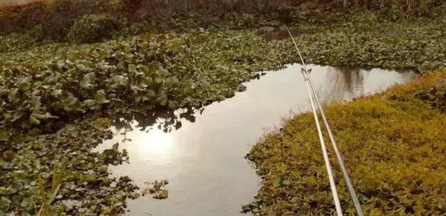 七星漂正确的调漂方法，七星漂走水调漂的正确方法与技巧（七星漂的调钓方法）