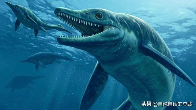 十大怪异鲨鱼，10000米长的蜈蚣（背后隐藏着一个人类起源的故事）