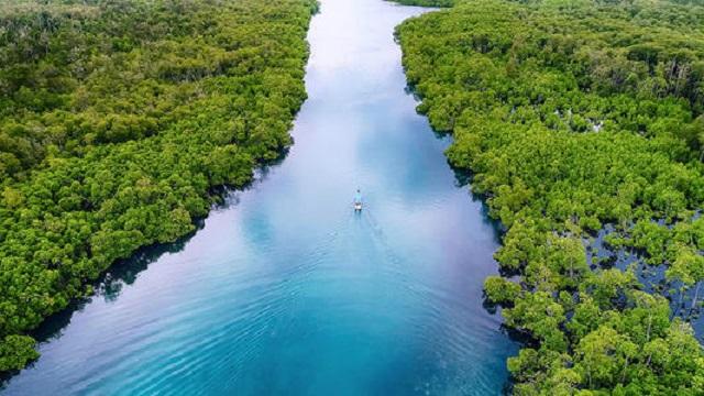 黄河是世界第几大河，世界十大河流排名（世界第一大河,亚马逊河上为何一座桥梁都没有）