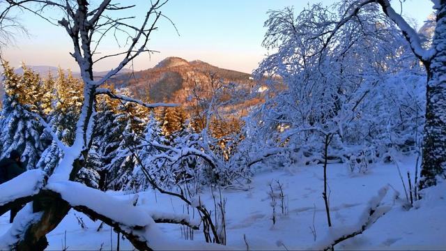 奔跑中的狼怎么画，奔跑动画的狼的图片（雪原狼争先恐后跑上陷阱张牙舞爪）