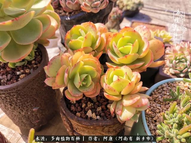 2021九·一八事变是多少周年，2021年是九一八事变的几周年（献给2021最好的春天）