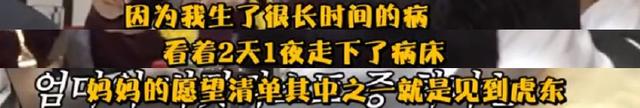 姜虎东退出韩国演艺界，韩国综艺情书讲的是什么（靠韩国综艺成了传奇的人）