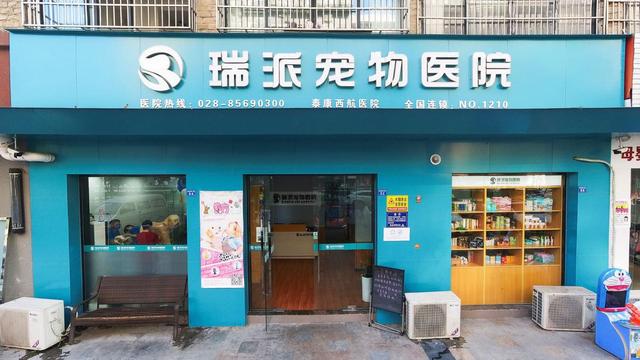 哈尔滨宠物医院，十大哈尔滨宠物医院排名（瑞派宠物医院告诉你最牛医院的正确打开方式）