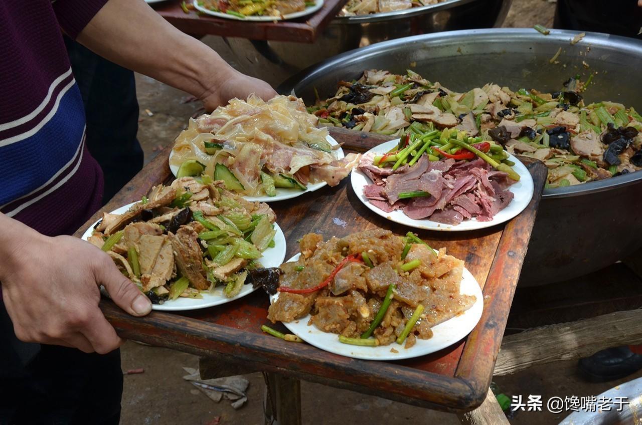 老话提醒：养龟忌双数，单数才吉利，遵循传统保平安顺遂，切莫忽视这一养龟禁忌。