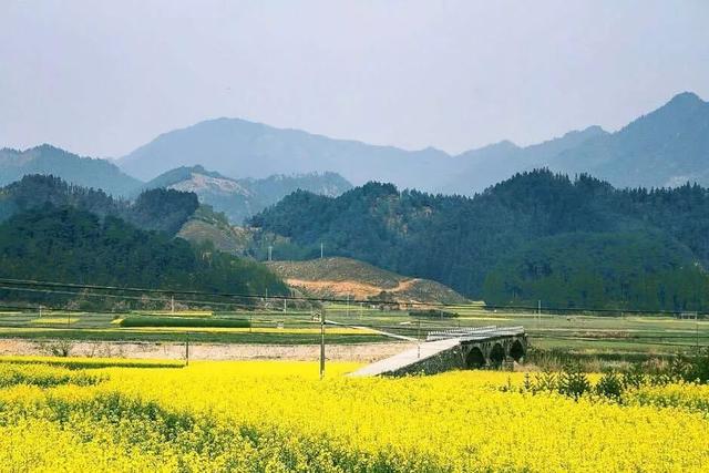 开化县属于哪个市，开化市有哪些镇（18万亩油菜花不逊色于婺源）