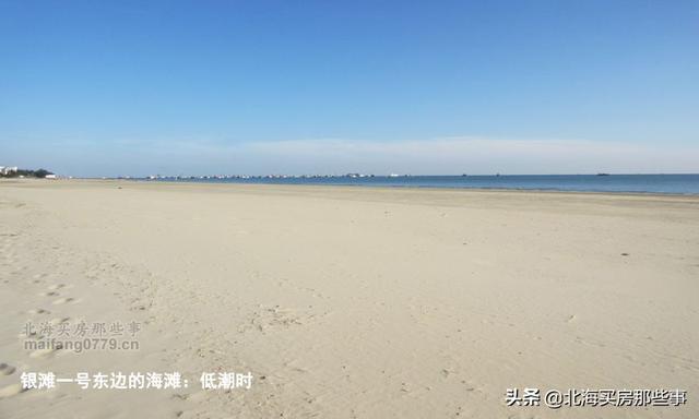 北海看潮汐表赶海，北海本地人外地人都需要的看海神器
