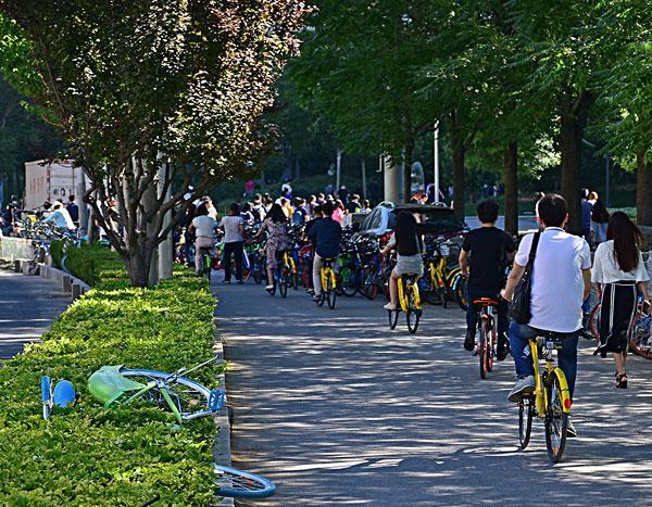 互联网是什么意思，无法访问互联网是什么意思（互联网到底是什么）