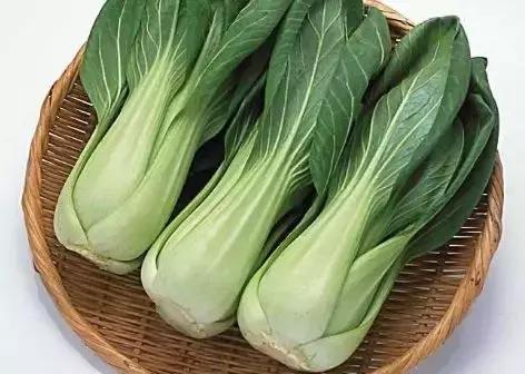 大头菜和卷心菜是一个菜吗，卷心菜和包菜的区别（12种蔬菜的N种四川喊法）