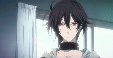 逆后宫动漫推荐，逆后宫恋爱动漫（那些让人少女心泛滥的逆后宫动漫）