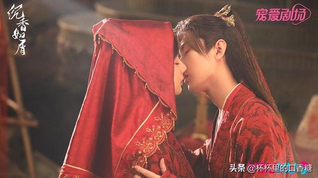 闪婚之先婚后爱，类似先婚后爱闪婚小说（杨紫成毅先虐再更高虐）