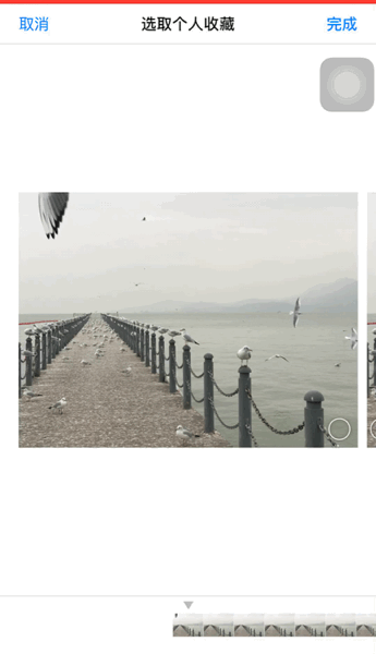 iphone拍照有哪些功能，iPhone手机的自带相机操作完全指南