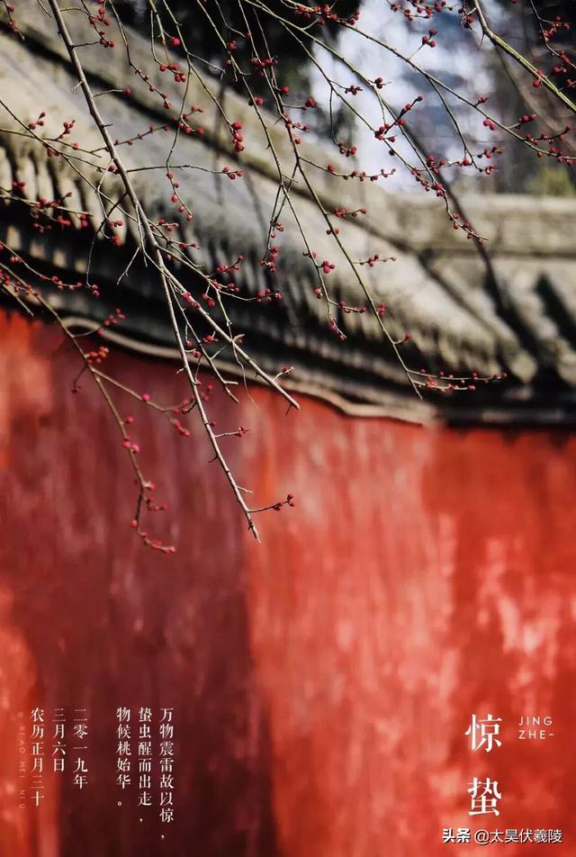  惊蛰节气介绍，二十四节气丨惊蛰 