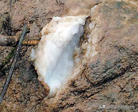 太岁在什么方位，2013年太岁在什么方位（来看看全国所发现的部份“太岁”长得啥样）