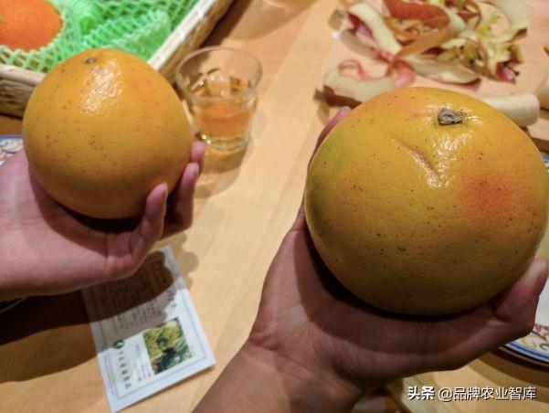 独果是什么，独果是真的吗（吃水果吃掉一套房、几辆车）