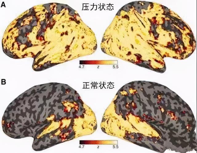 中班教育随笔上课注意力不集中，中班教学教育的随笔（孩子上课注意力不集中）