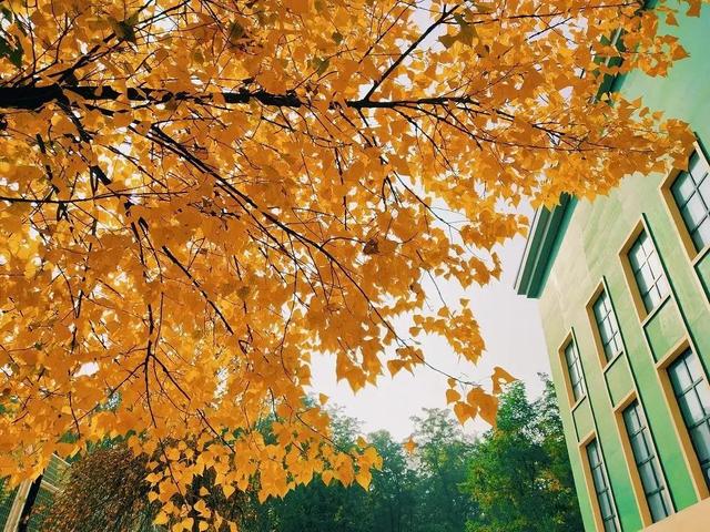 辽宁科技大学宿舍，2021年辽宁科技大学新生宿舍条件图片环境怎么样（<十五>辽宁科技大学）