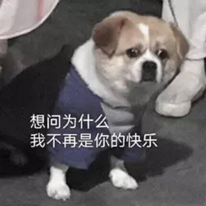 想问你（表情包：想问为什么我不再是你的快乐）