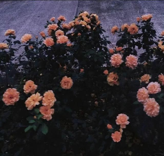 心情郁闷的句子，朋友圈心情郁闷的句子（表达心情压抑难受的文案说说）