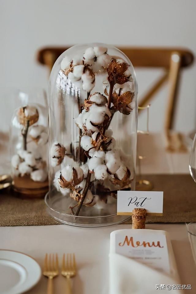 棉花花语和寓意是什么，棉花花语（花店老板娘手中的棉花）