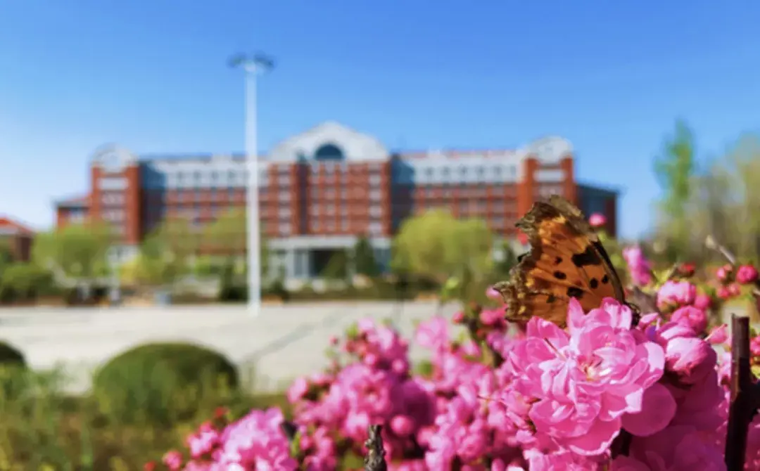辽宁工程技术大学（辽宁工程技术大学）