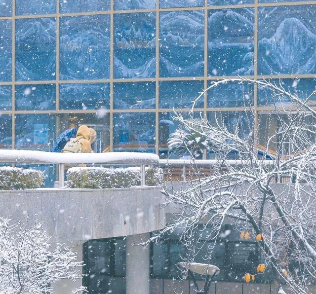 关于冬天的句子，关于冬天的句子唯美短句（文案，有关冬天的温柔可爱句子）