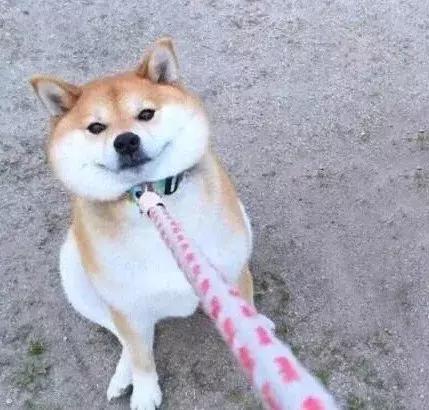 非人哉快看漫画全集，沙雕情头✨            来源：快看漫画《非人哉》，微信头像（单身人士千万不要点开）