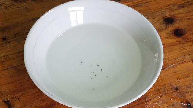 椰子煲鸡汤的做法，椰子煲鸡汤的美味做法（很多人都没喝过的一道靓汤）