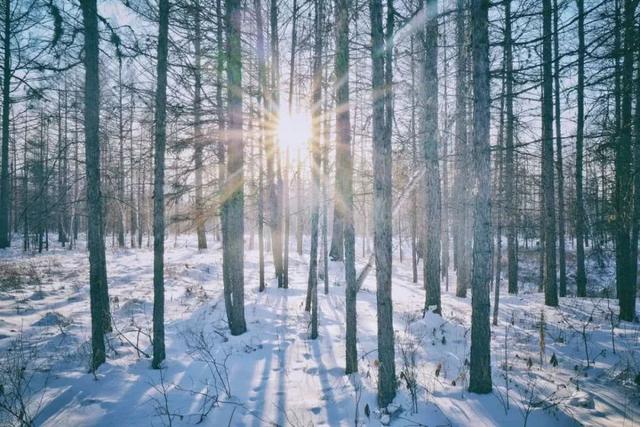 菲律宾长滩岛天气怎么样，菲律宾长滩岛介绍一下（一月份最值得去的旅行地）
