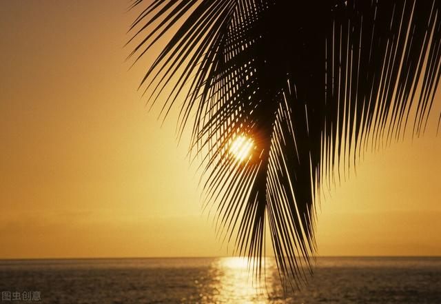 雨过天晴发朋友圈的句子，雨过天晴正能量的短句（阳光在风雨后，美句颤动的心）