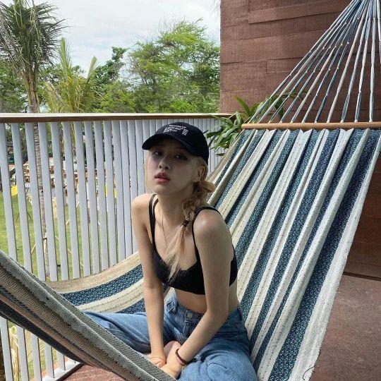 /江樱/ 澳洲野玫瑰朴彩英头像1弹微信，/江樱/ 澳洲野玫瑰朴彩英头像1弹（Rose头像壁纸澳洲野玫瑰）