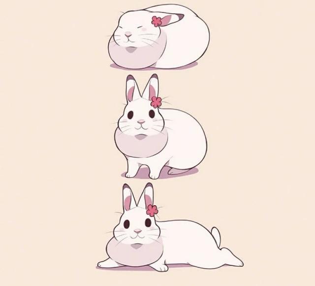 小兔子卡通图片，可爱小兔子头像/可可爱爱兔子鸭。（微信头像，萌萌的兔子头像）
