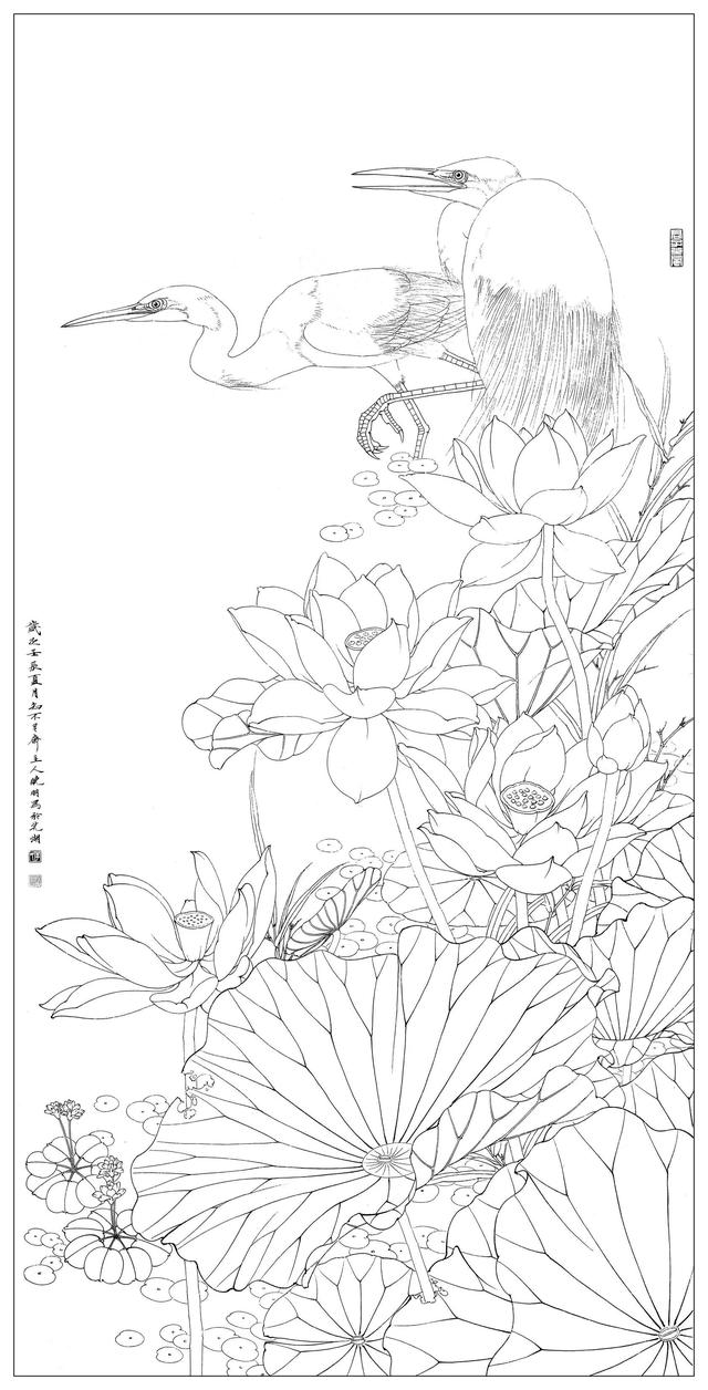 工笔荷花白描，高清工笔荷花白描 110幅