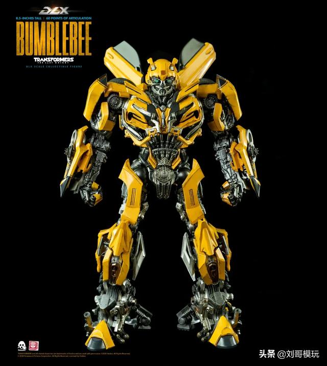 大黄蜂多少钱,横琴大黄蜂3号多少钱一年