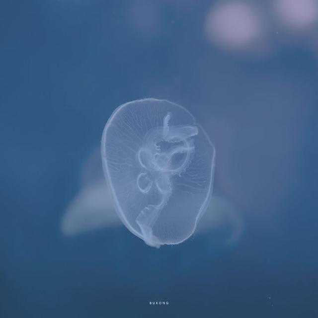 美好阳光且干净的女生头像  星空迷上了山野微信，美好阳光且干净的女生头像  星空迷上了山野，有雾有灯也有归人。（有哪些好看非人物的头像）