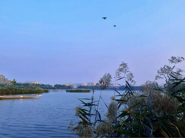 南开大学滨海学院是几本，南开大学滨海学院排名多少是几本（<一>南开大学滨海学院）