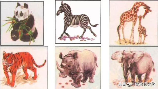 音序是什么?音节又是什么，音序是什么（小学汉语拼音——整体认读音节）