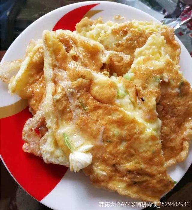 不锈钢盆可以放烤箱吗，烤箱里可以放不锈钢盆吗（10种花最养人）