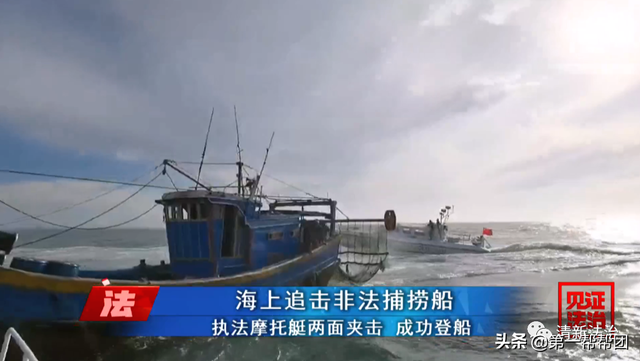 鲎是保护动物吗，鲎是保护动物吗为啥（休渔期非法捕捞国家保护动物中华鲎）