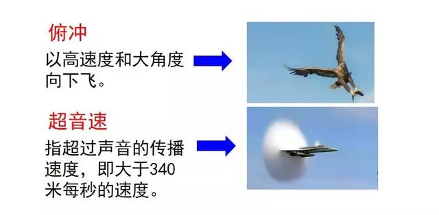 汉字俯怎么组词，俯组词（部编版五年级语文上册第7课《什么比猎豹的速度更快》知识点）