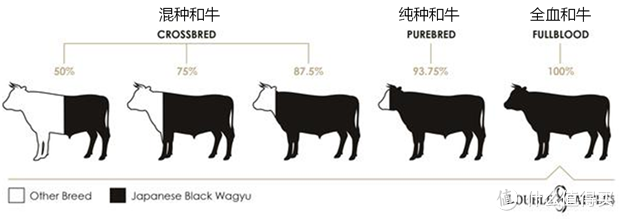 美国牛排 等级，买牛肉不要再上当了好吗