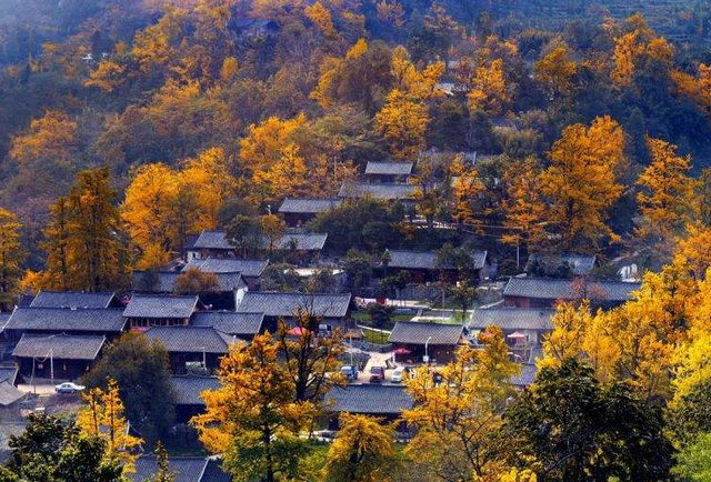 盘州市在哪里，盘州市职业技术学校在哪里（贵州第二人口大县）