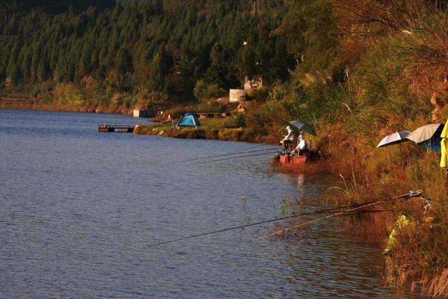 鱼竿多长比较合适，新手钓鱼多长的鱼竿合适（准确找到鱼儿活跃水深）