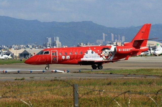 旺旺！，汪汪队立大功全集免费（旺旺开了家三甲医院图片）