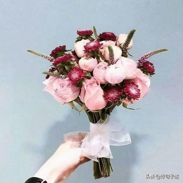一句话打动人心爱情(一句话打动人心爱情短句子)