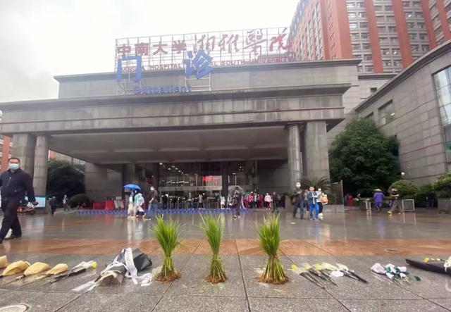 袁隆平对社会的贡献，袁隆平做了什么贡献（一张图看懂袁隆平为我国粮食安全做出的贡献）