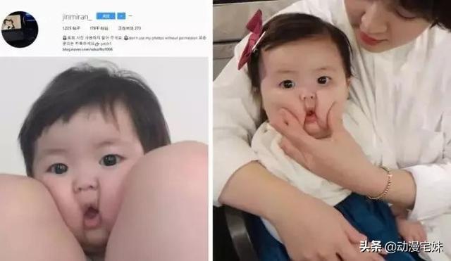 tatan为什么走红，tatan是怎么火的（是碰到这些刁钻难缠的熊娃表情包）