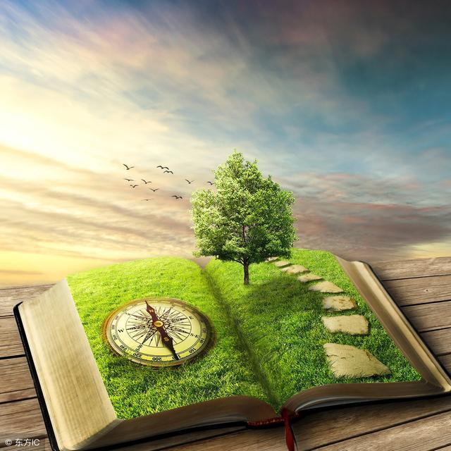 team是什么意思，team什么意思（7重点词汇语法句型分析及课文翻译）