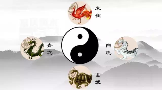 男青龙是什么意思，青龙男人是什么意思啊（千金难买的风水机密）